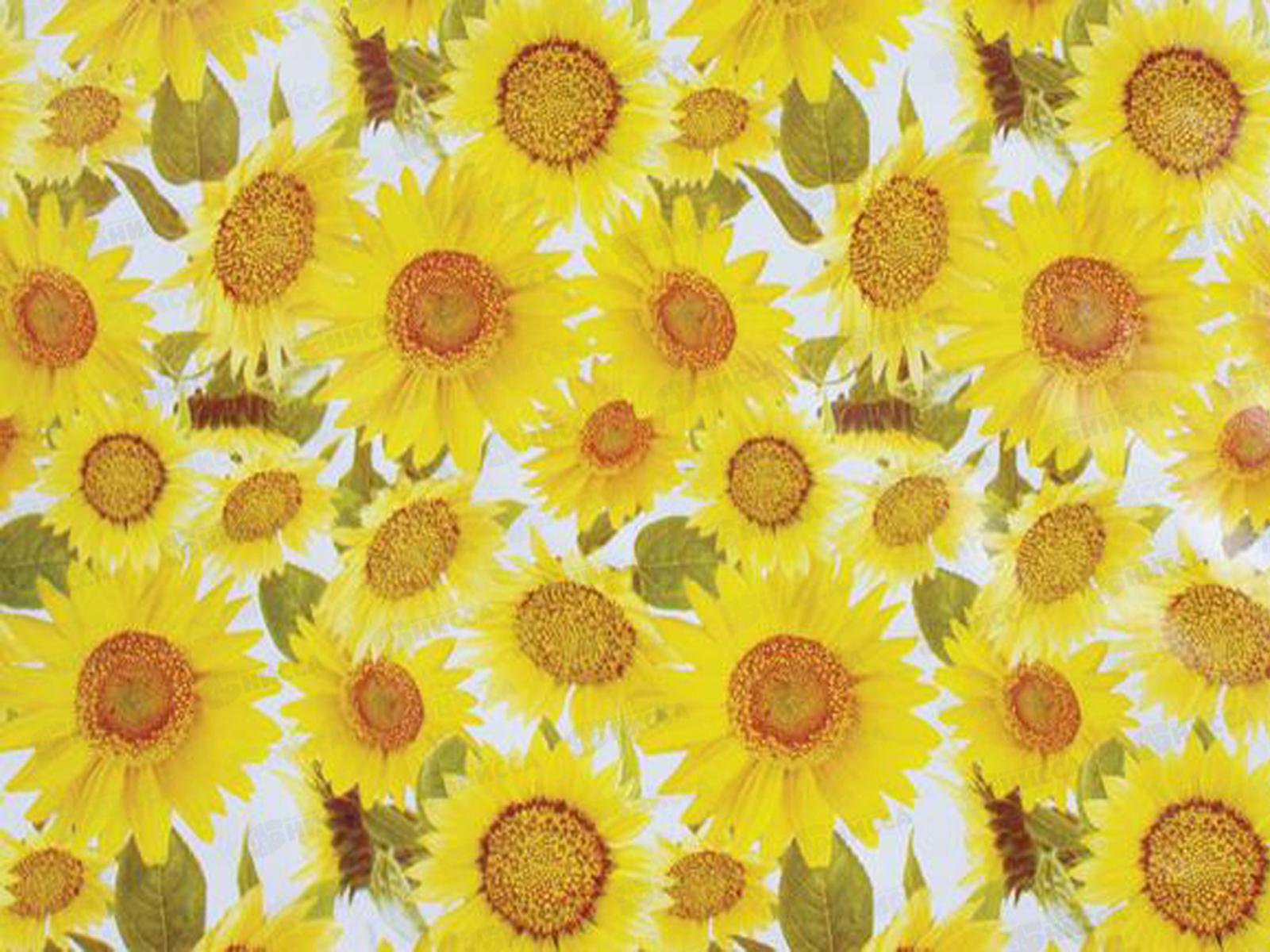 Клеенка на тканевой основе Колорит Арт. 927-5 25м