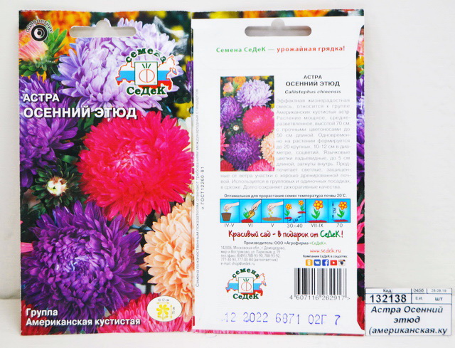 Астра Осенний этюд (американская.кустистая, смесь ) (Евро,0,2) СеДеК *10 +