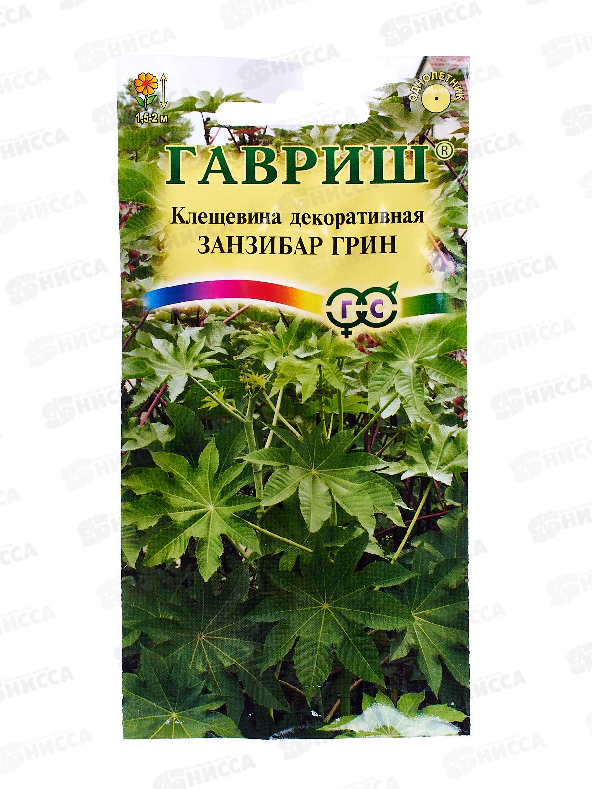 Клещевина Занзибар грин 5 штук   *10 ГШ