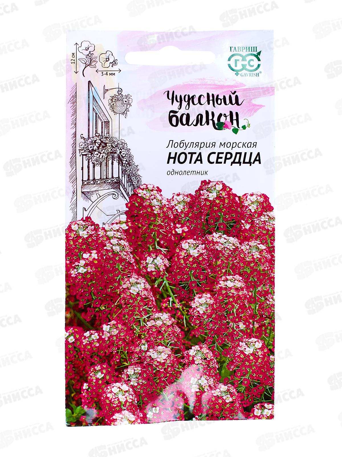 Лобулярия Нота сердца 0,1 грамм  серия Чудесный балкон Н10  *10 ГШ