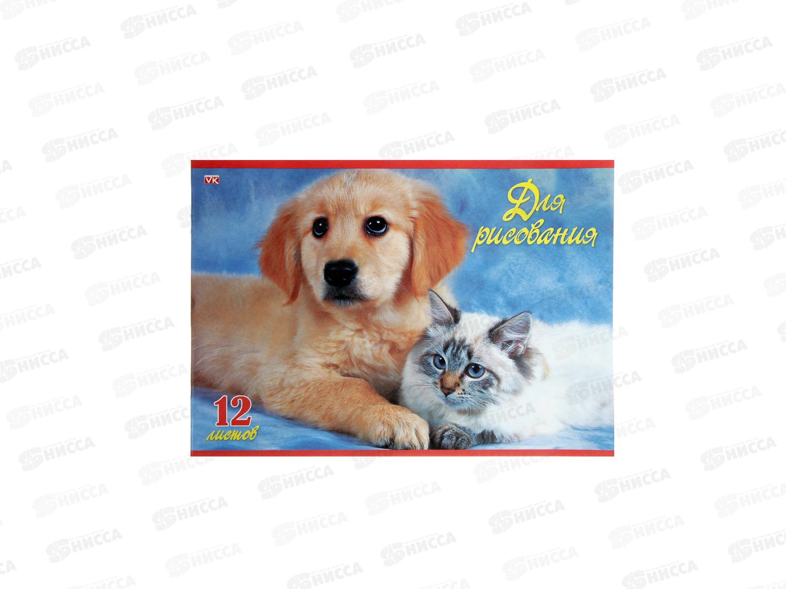 Альбом для рисования 12 листов Hatber Верные друзья, мелованный,  картонный *11/110