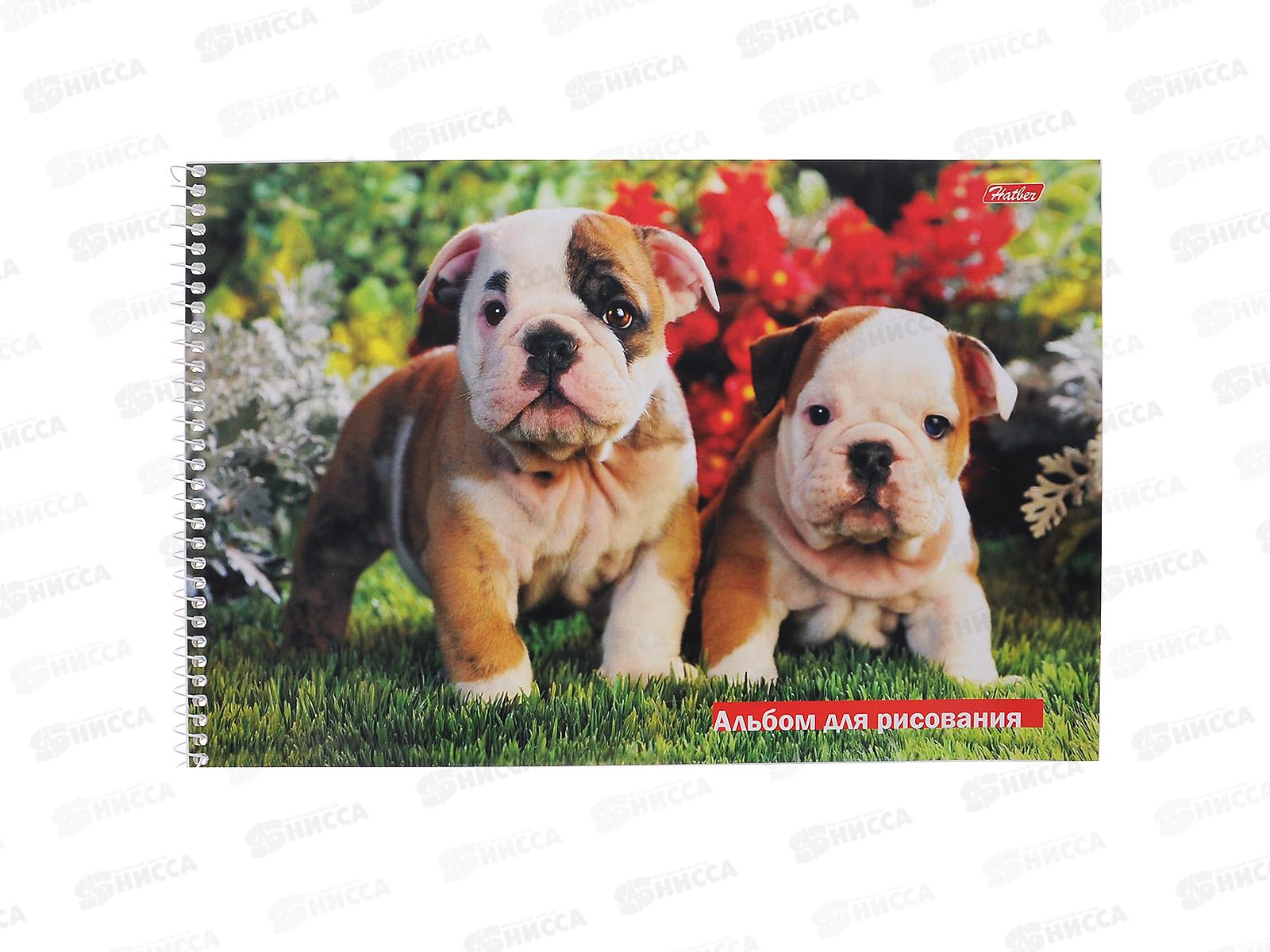 Альбом для рисования 32листа Hatber Зверьё моё, перфорированные листы, греб. *5/40