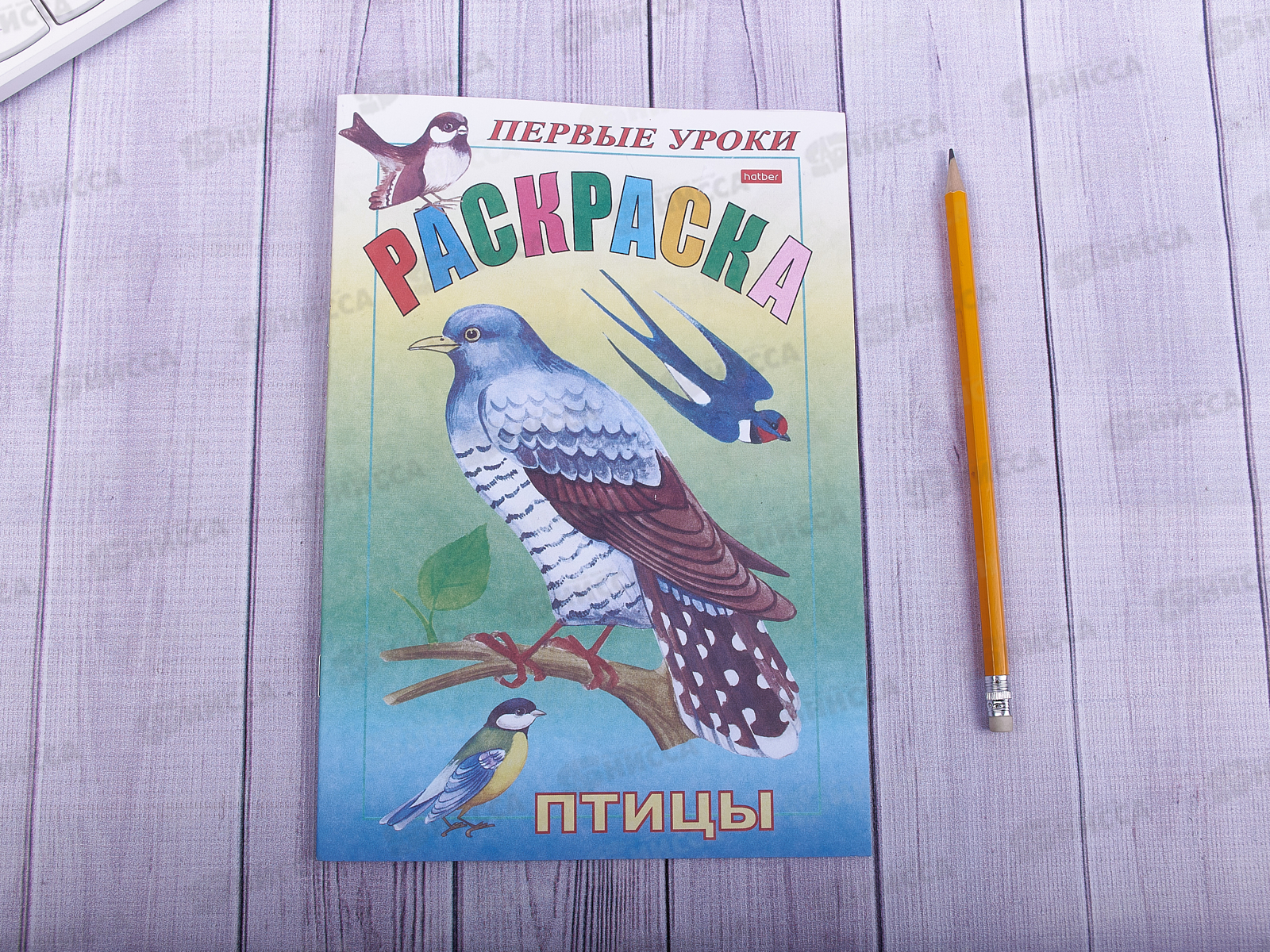 Раскраска Hatber А5 8листов Птицы, 03068 *100