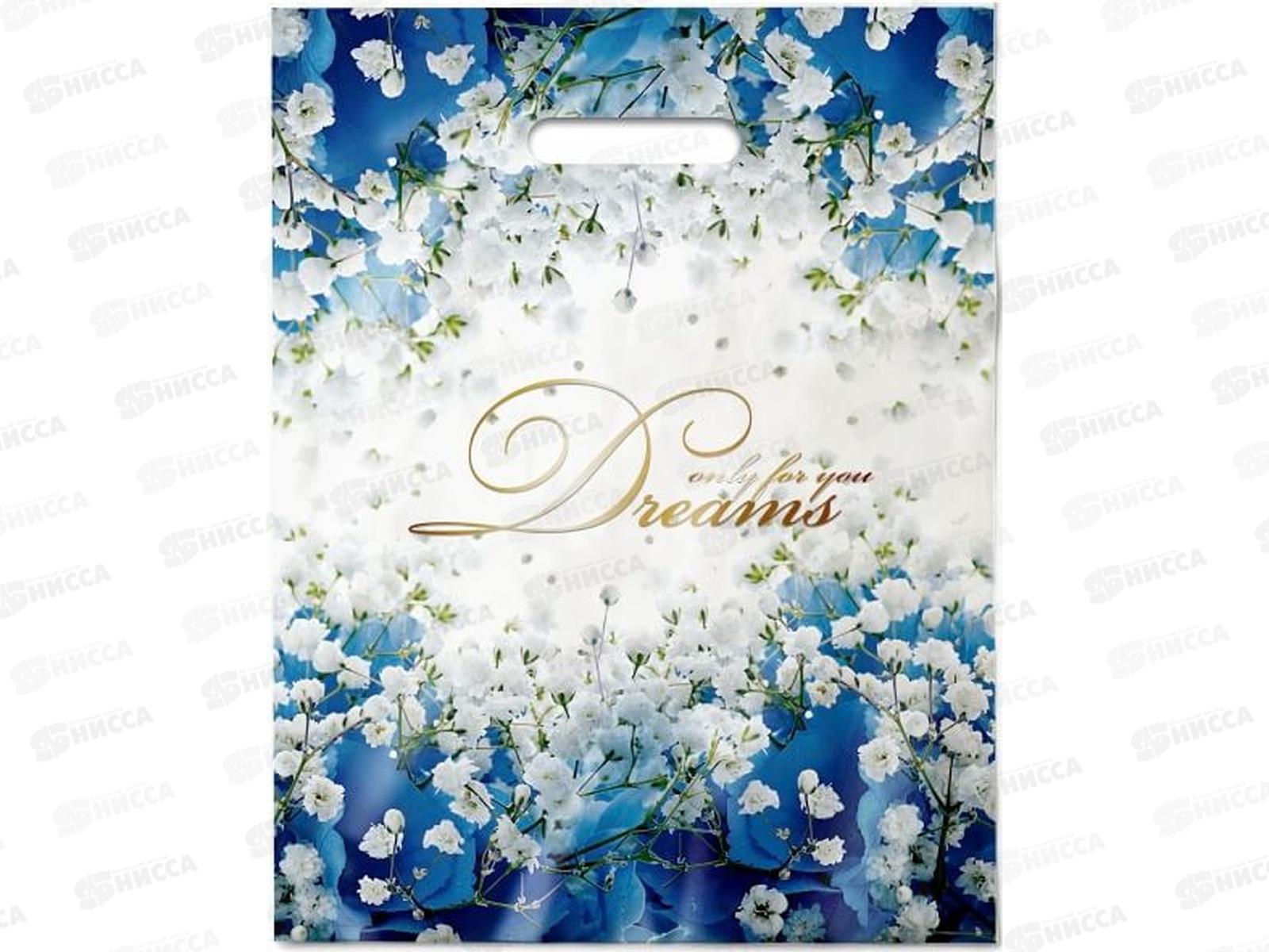 Пакет пробивной 31*40  Мечта *50/500