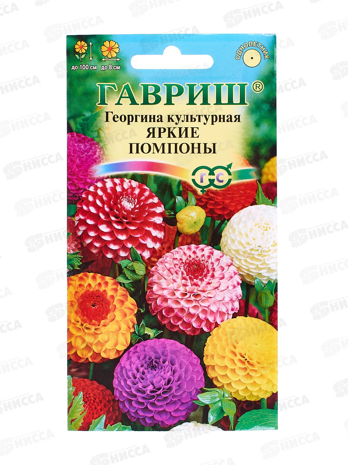 Георгина Яркие помпоны 0,2 грамма  Н12  *10  ГШ +