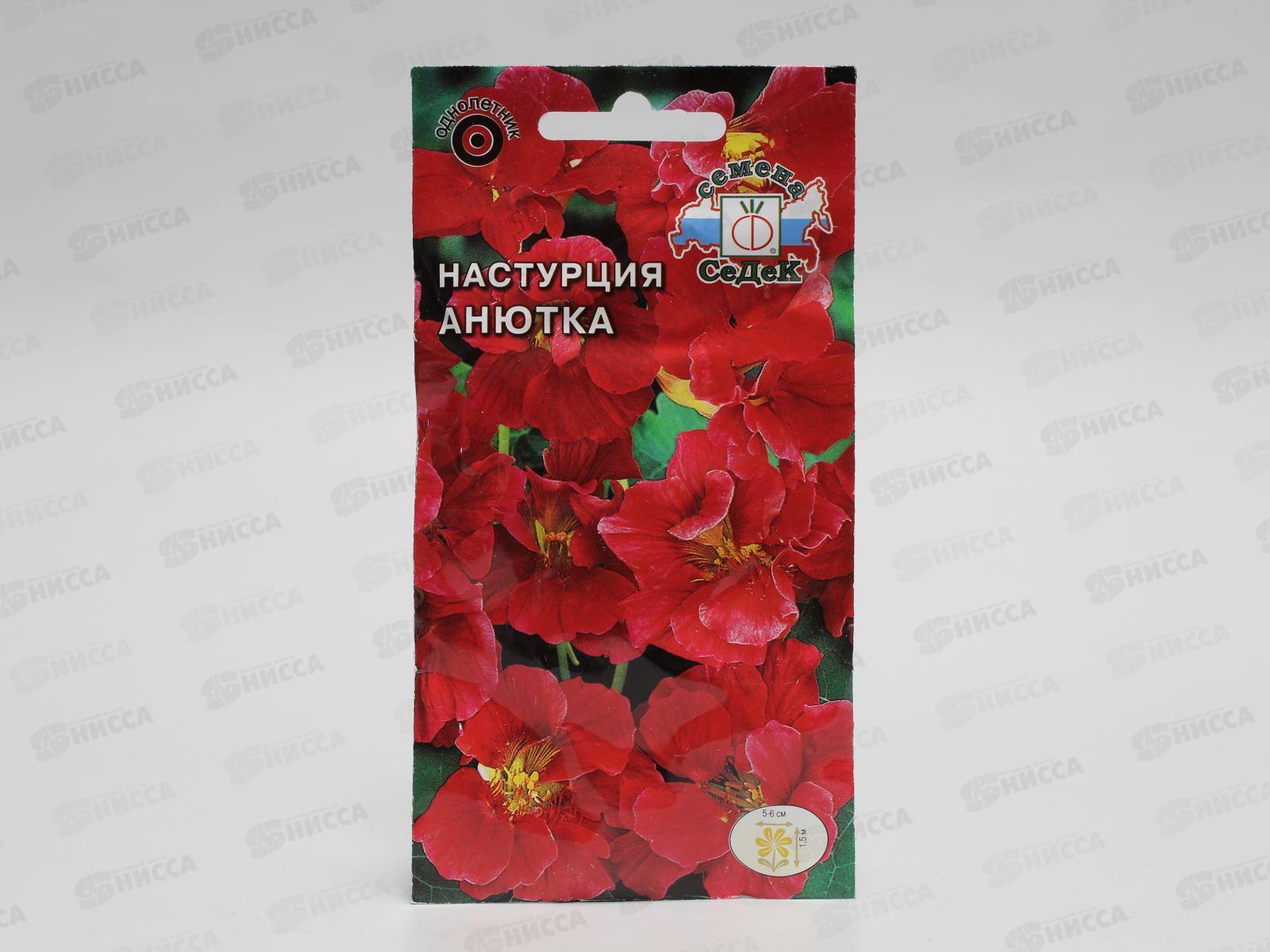 Настурция вьющаяся Анютка (махровая) (Евро, 1, 1624) СеДек *10 +