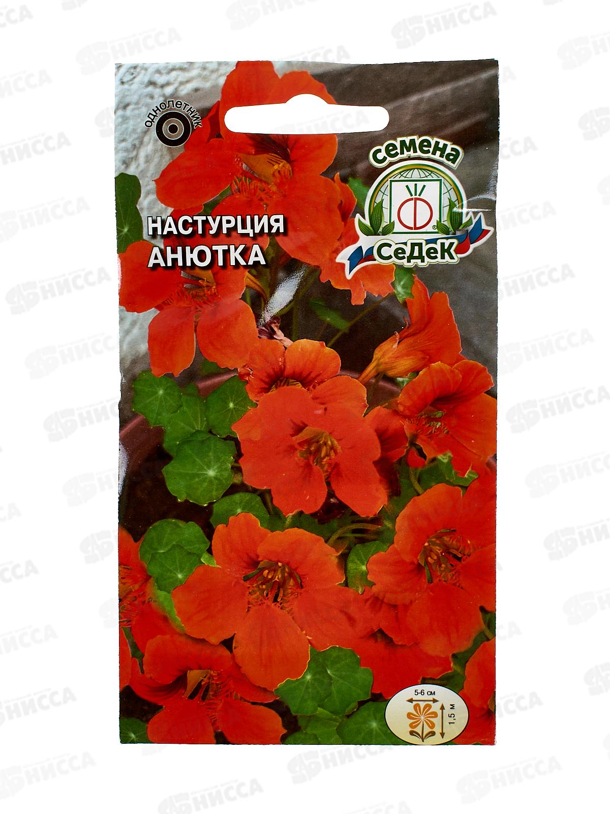 Настурция вьющаяся Анютка (махровая) (Евро, 1, 1624) СеДек *10 +