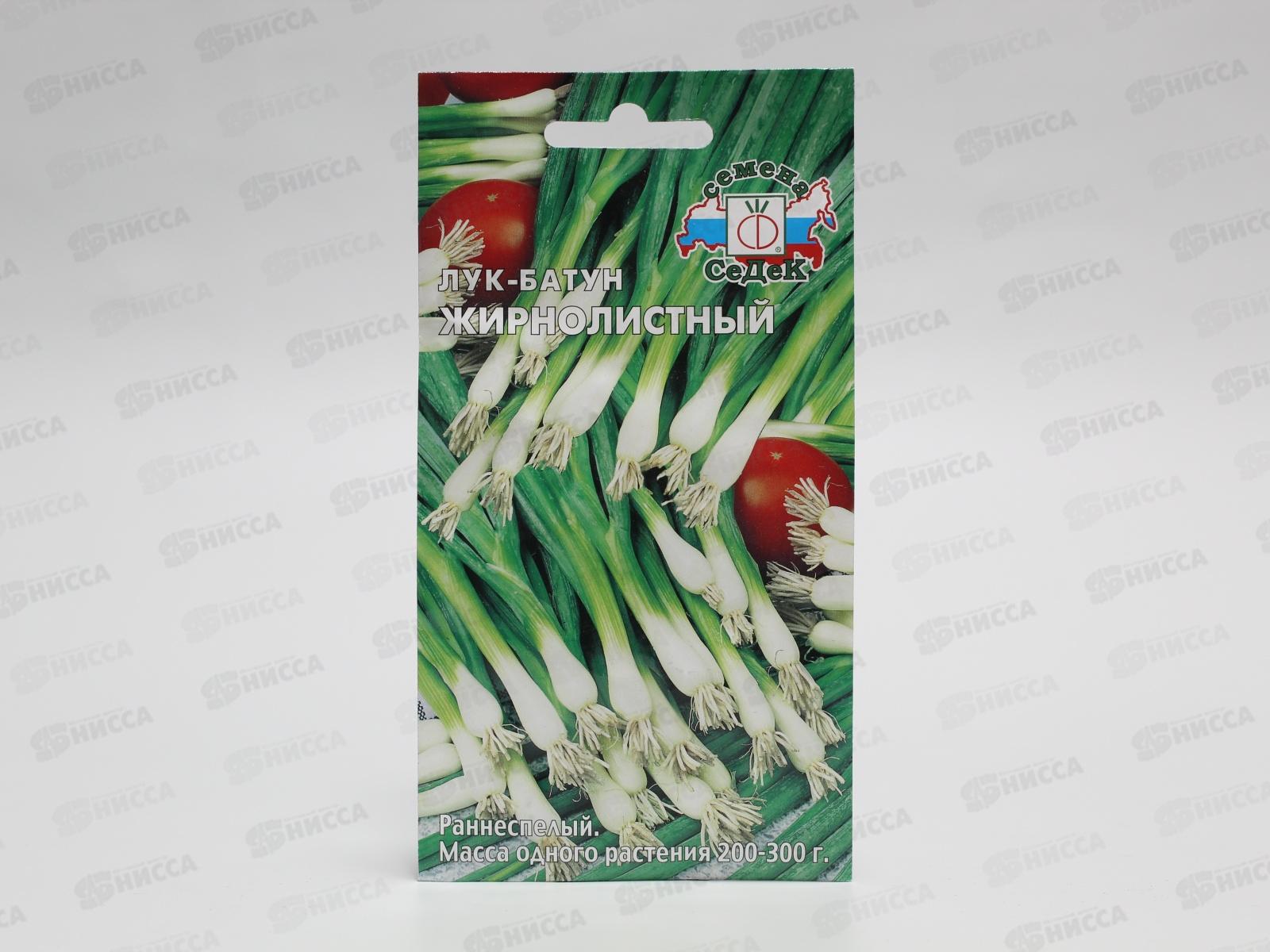 Лук Жирнолистный  (батун) (Евро, 1, 2520) *10 СеДек