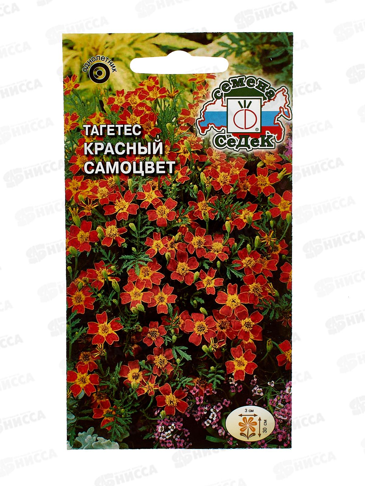 Тагетес Красный самоцвет (узколистный, оранжевый)  (Евро 0,1) *10 СеДек +