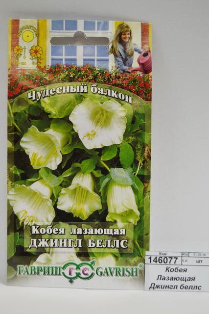 Кобея Лазающая Джингл беллс 5ш Н10  *10 ГШ