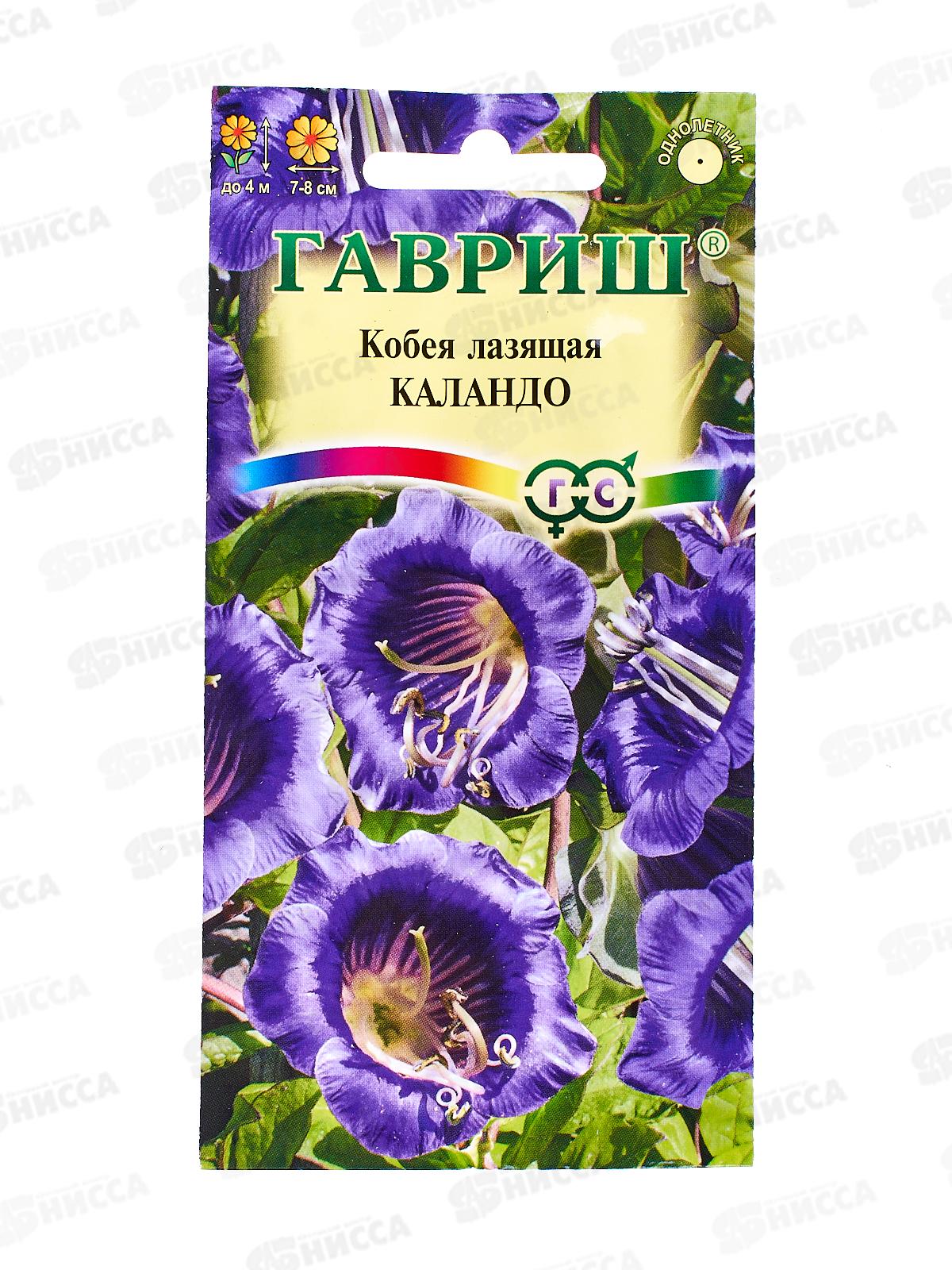 Кобея Лазающая Каландо 5ш  *10 ГШ