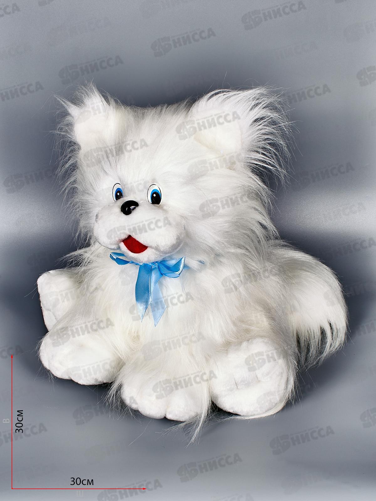 Котенок Снежок 12-6 Рэббит