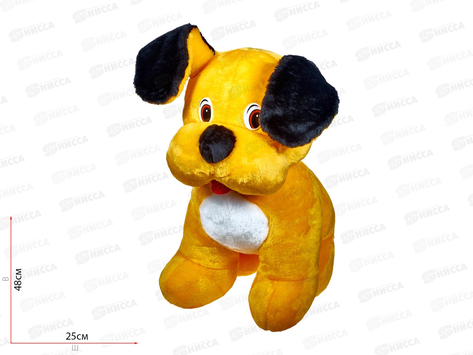 Собака Джуля 19-16  Рэббит