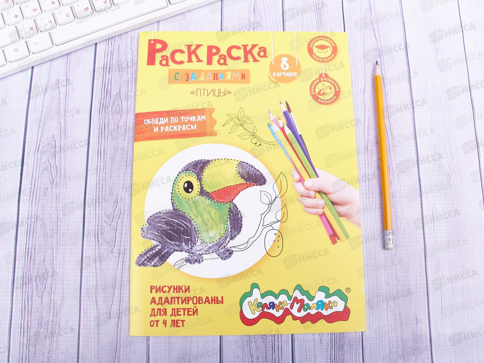 Раскраска Каляка-Маляка А4 Птицы, РКМ08-ПТ *25