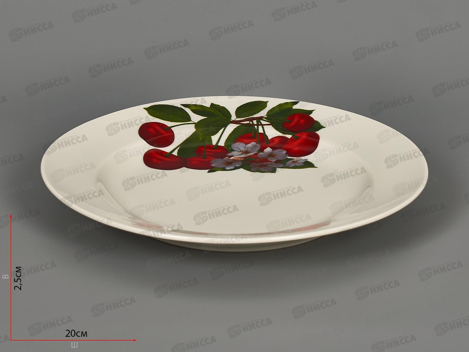 Тарелка мелкая 240мм фарфор Идилия Ассорти сборное 4С0207 *12