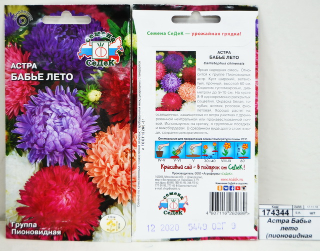 Астра Бабье лето (пионовидная белая) (Евро, 0,2) *10 СеДек