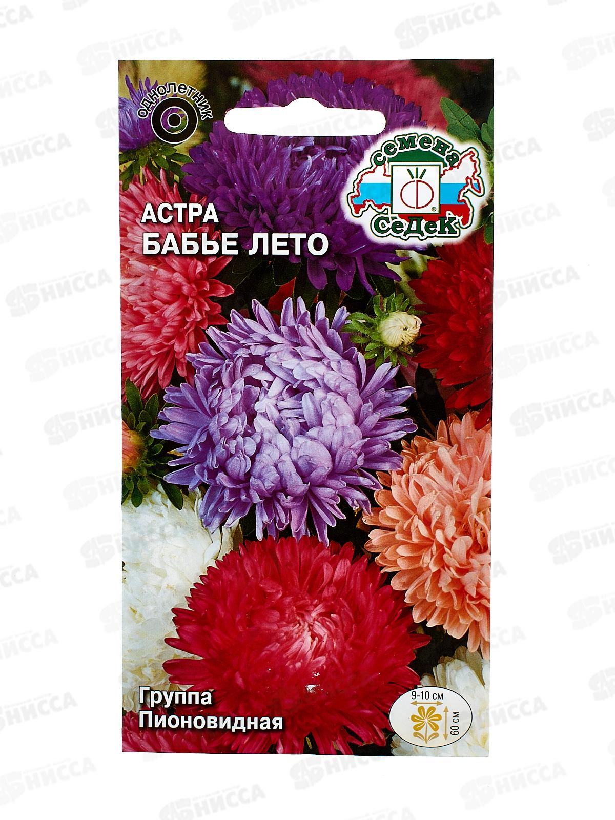Астра Бабье лето (пионовидная белая) (Евро, 0,2) *10 СеДек +