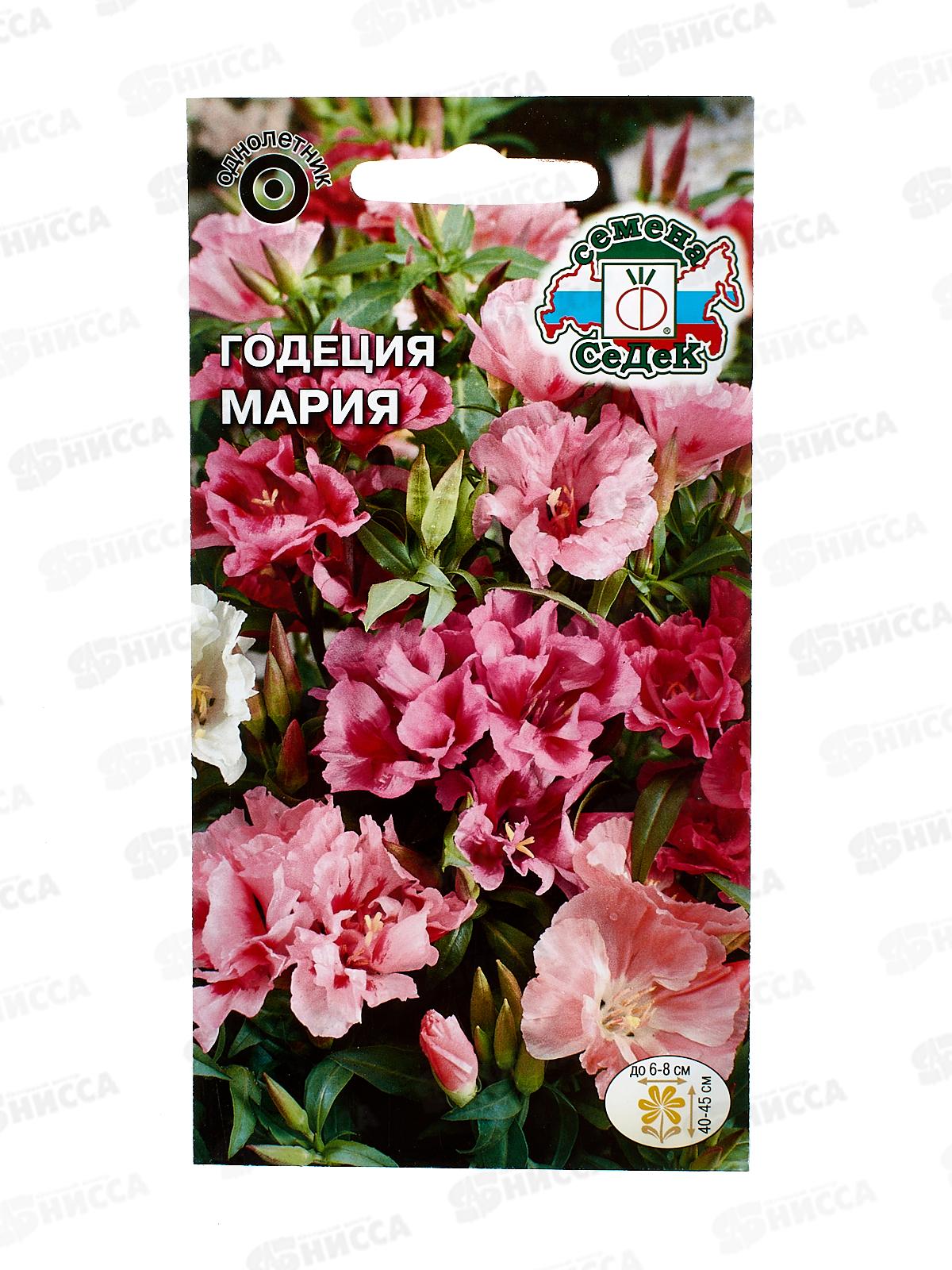 Годеция Мария (крупноцветковая, махровая смесь ) (Евро) *10 СеДек +