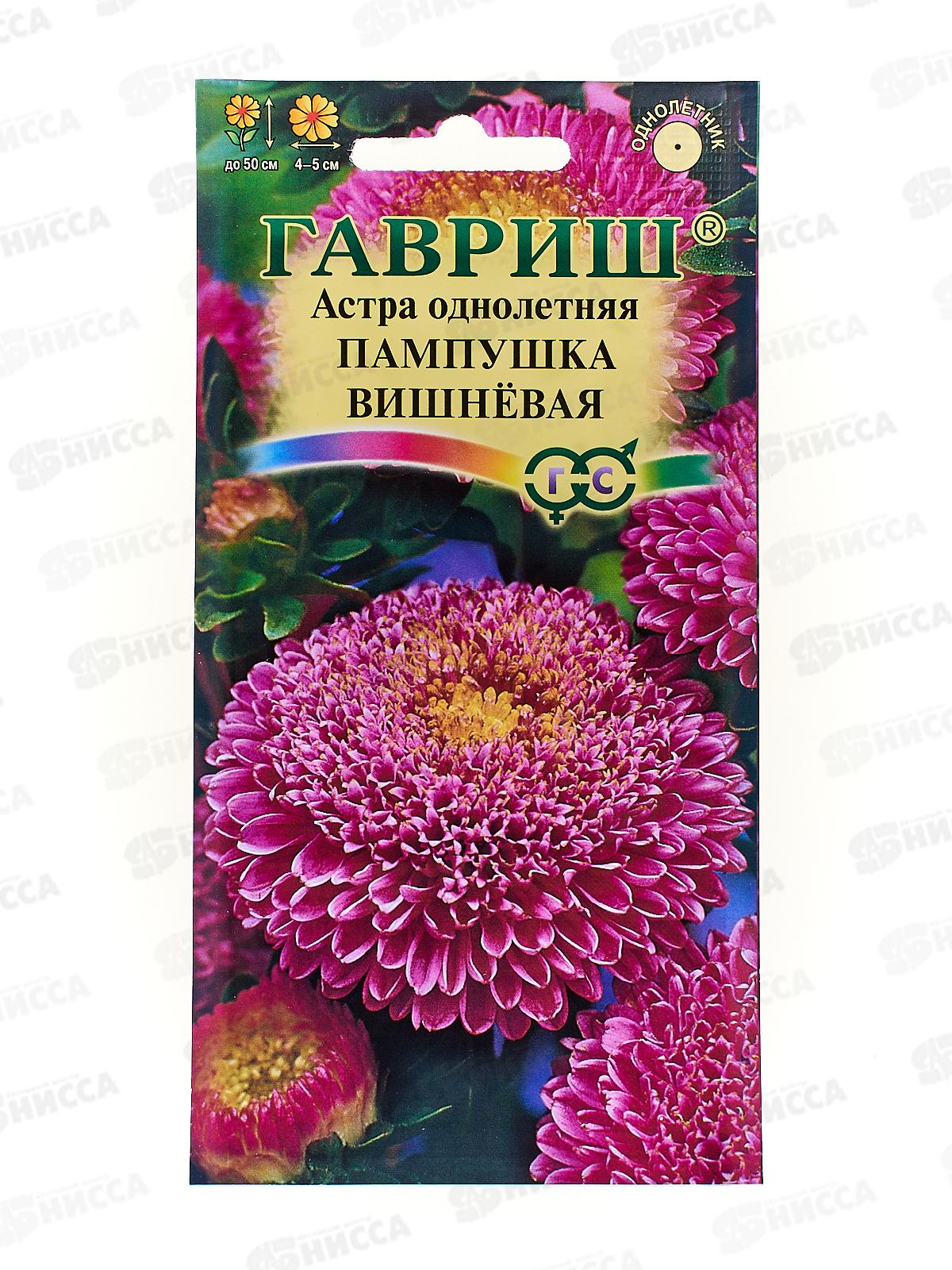 Астра Пампушка вишневая 0,3 грамма  Н12 *10 ГШ +