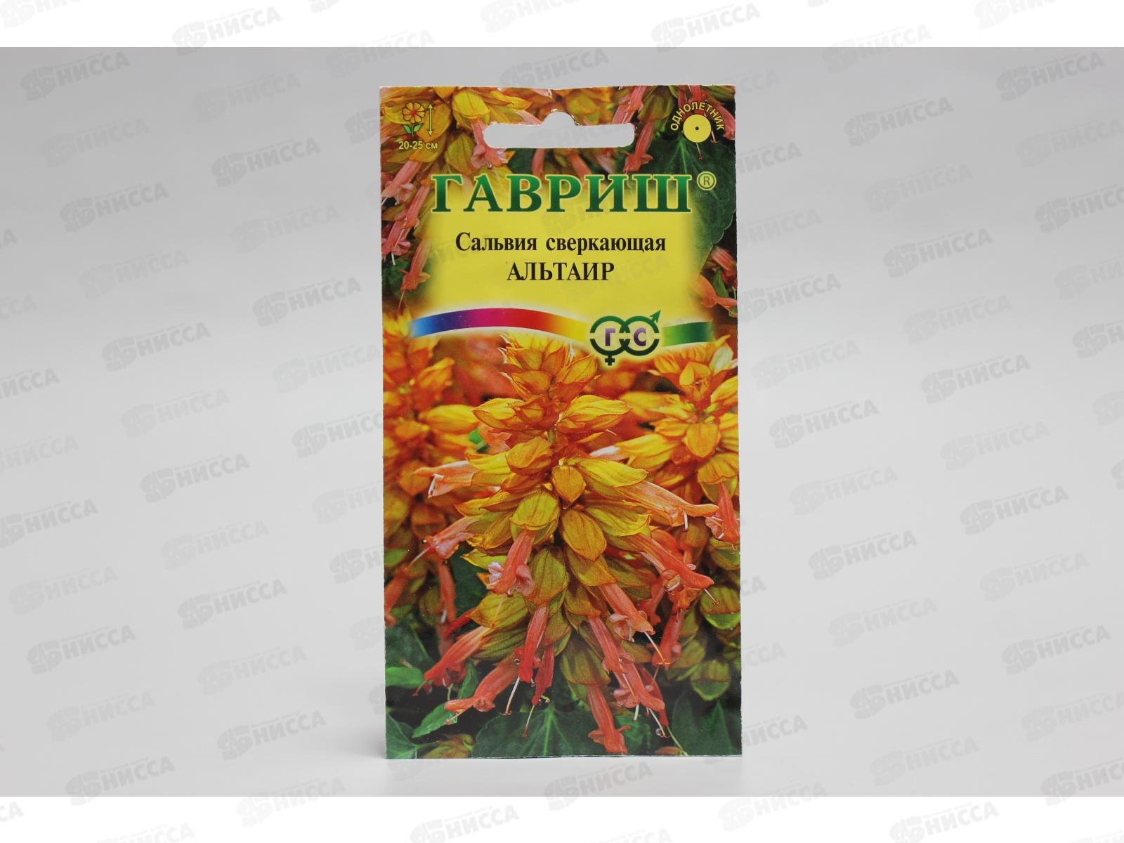 Сальвия Альтаир карликовая 4шт  *10 ГШ +