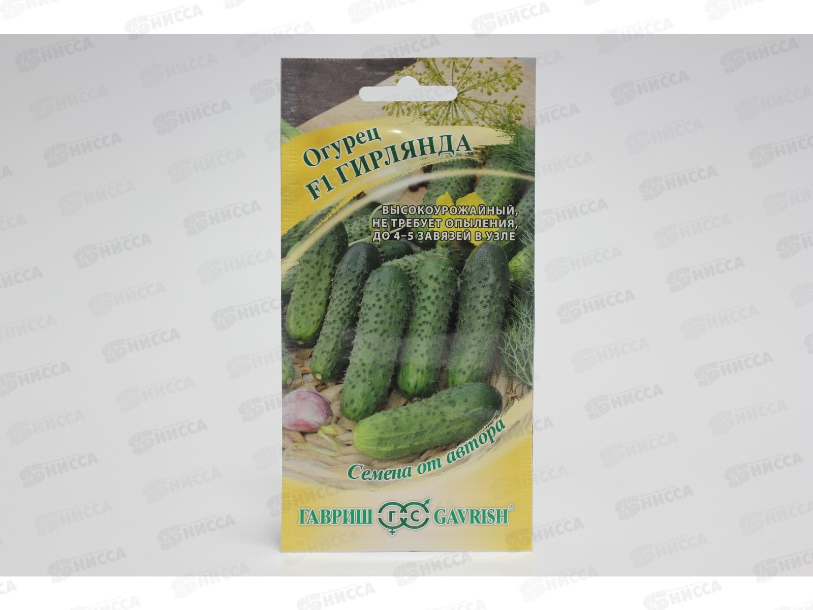 Огурец Гирлянда  F1 10штук Семена от автора Н10  *10 ГШ