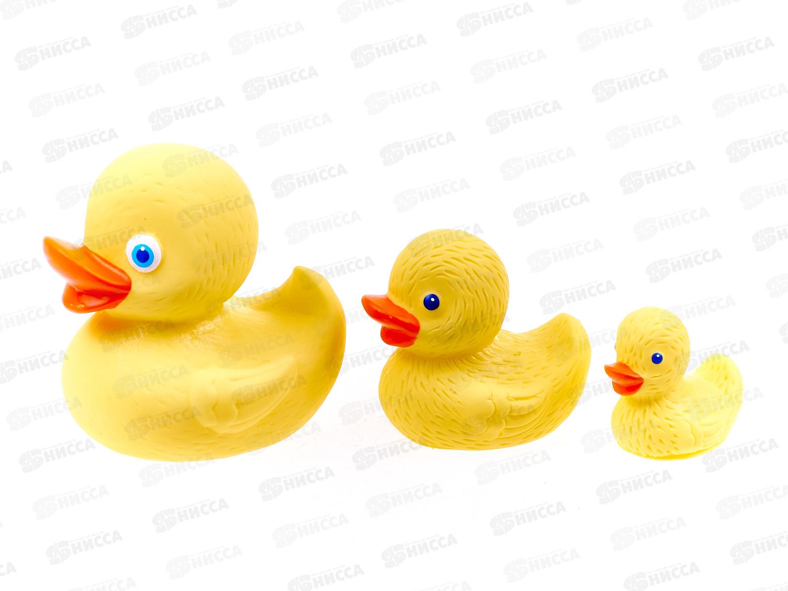 Воронеж Набор Утята СИ-789 *15