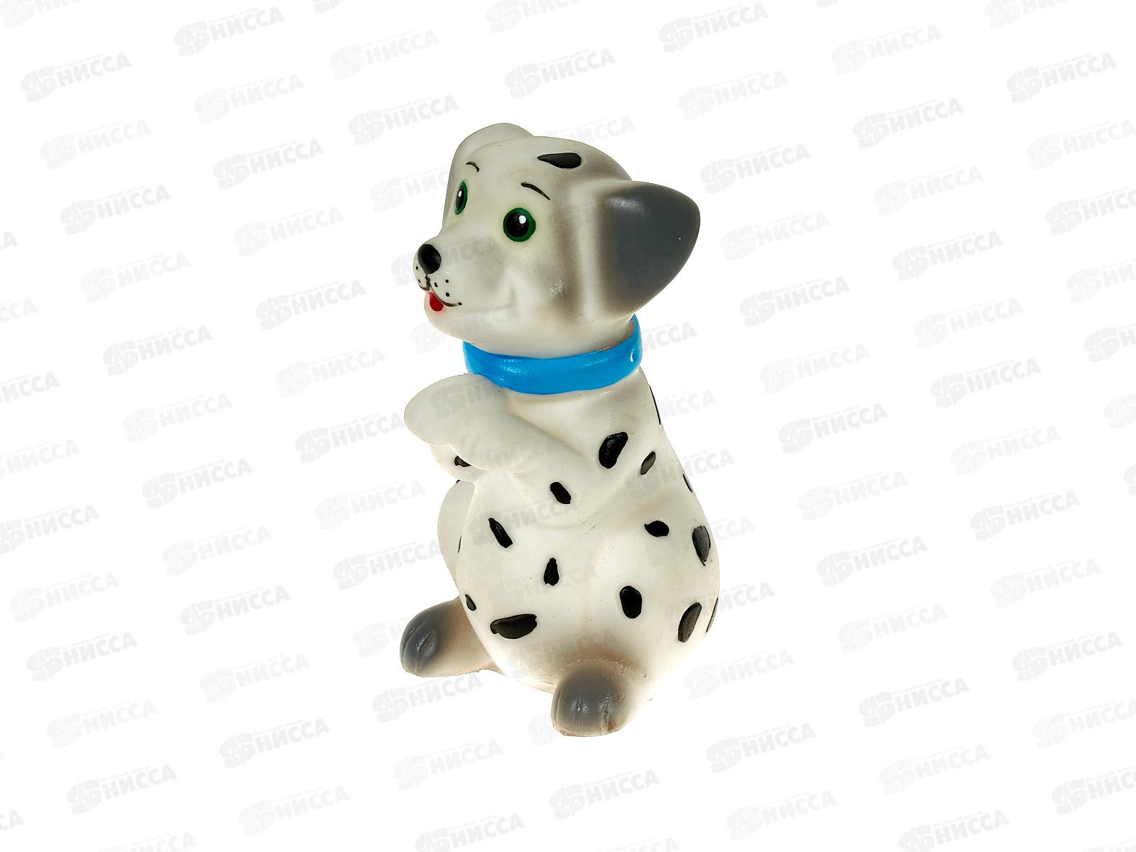 Воронеж Собачка Далматинец СИ-426