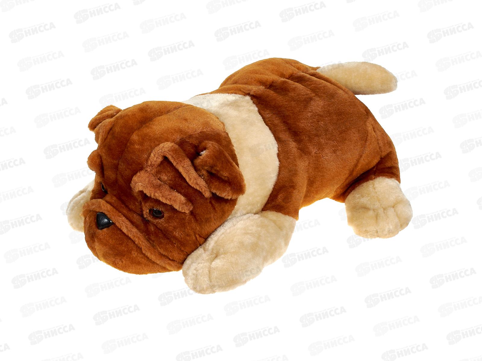 Собака Шарпей Шах 19-28 Реббит