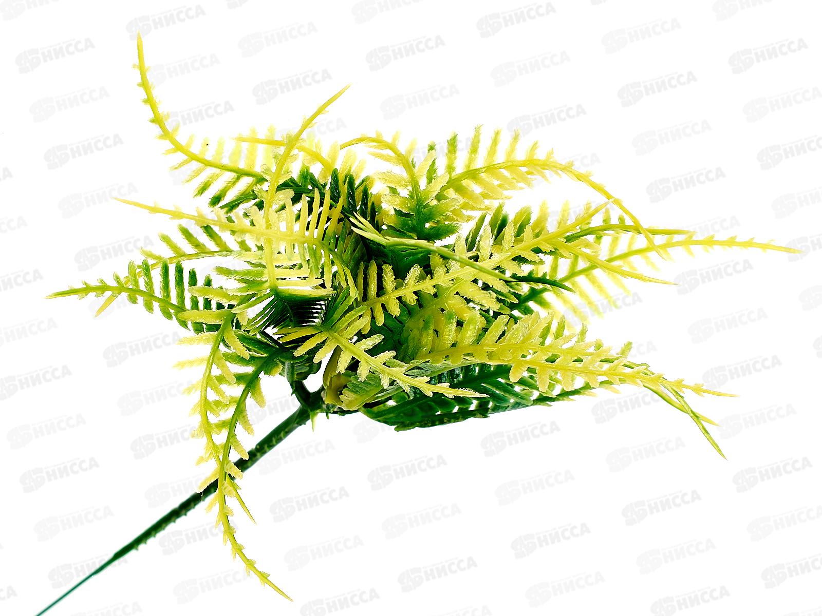 Букет 15см Папоротник волнистый 1653800