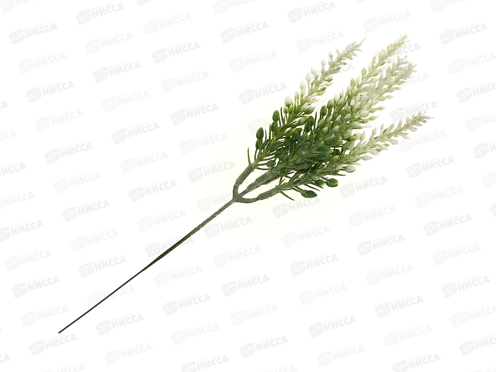 Букет 18см Травка пирамидальная с напылением 1653801 *5