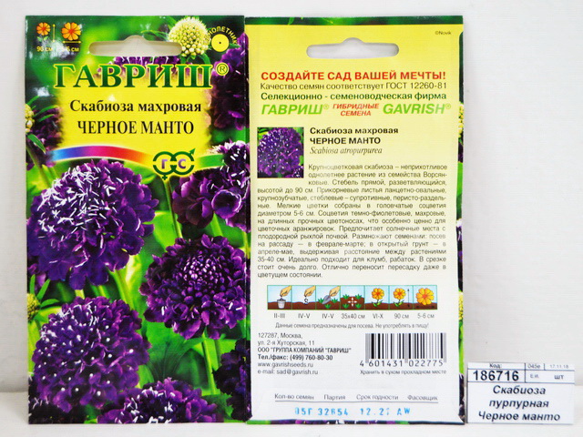 Скабиоза пурпурная Черное манто мах 0,2г  *10 ГШ +