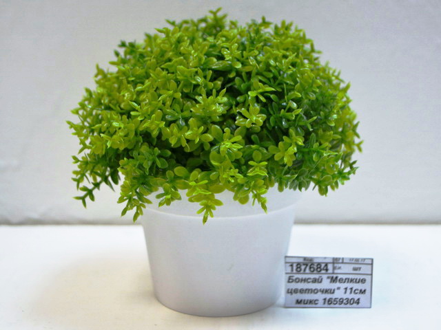 Бонсай &quotМелкие цветочки&quot 11см микс 1659304