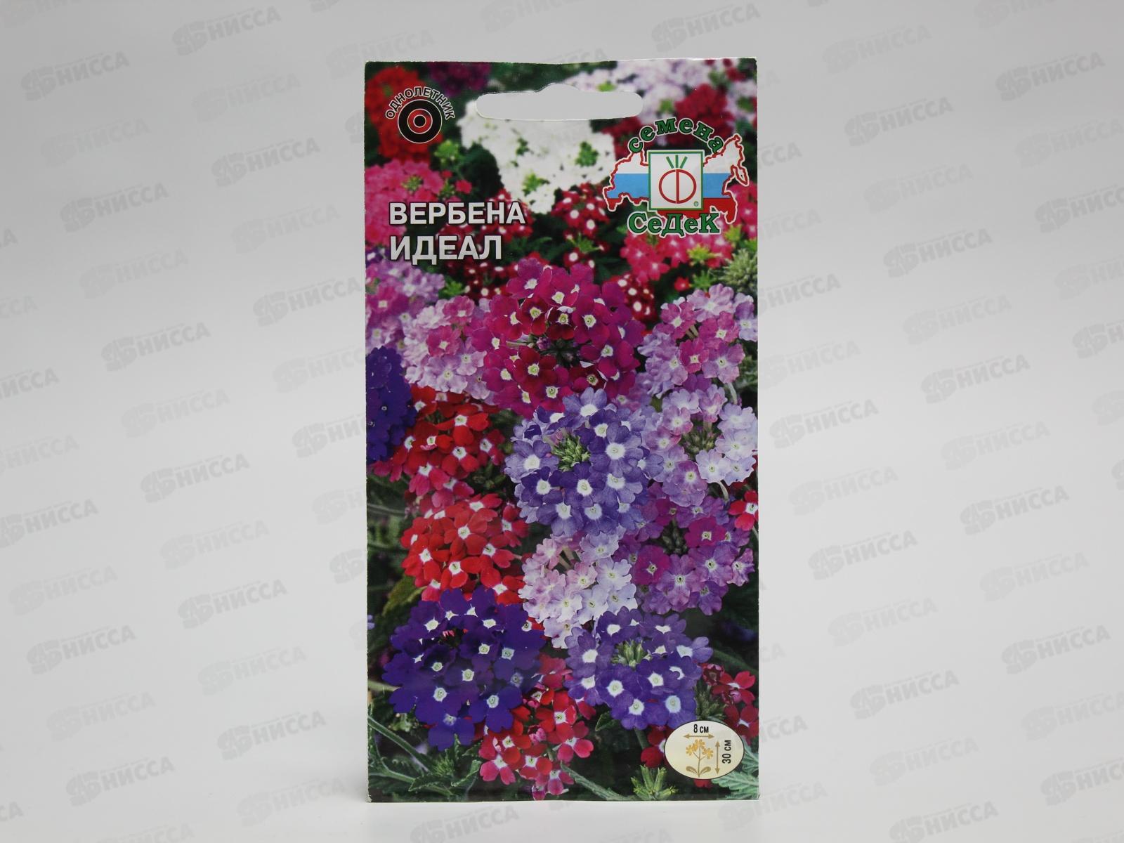 Вербена Идеал смесь цветов (Евро, 0,1) СеДек *10 +