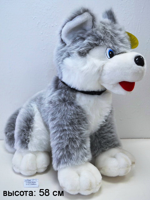 Собака Лайка 19-17  Рэббит