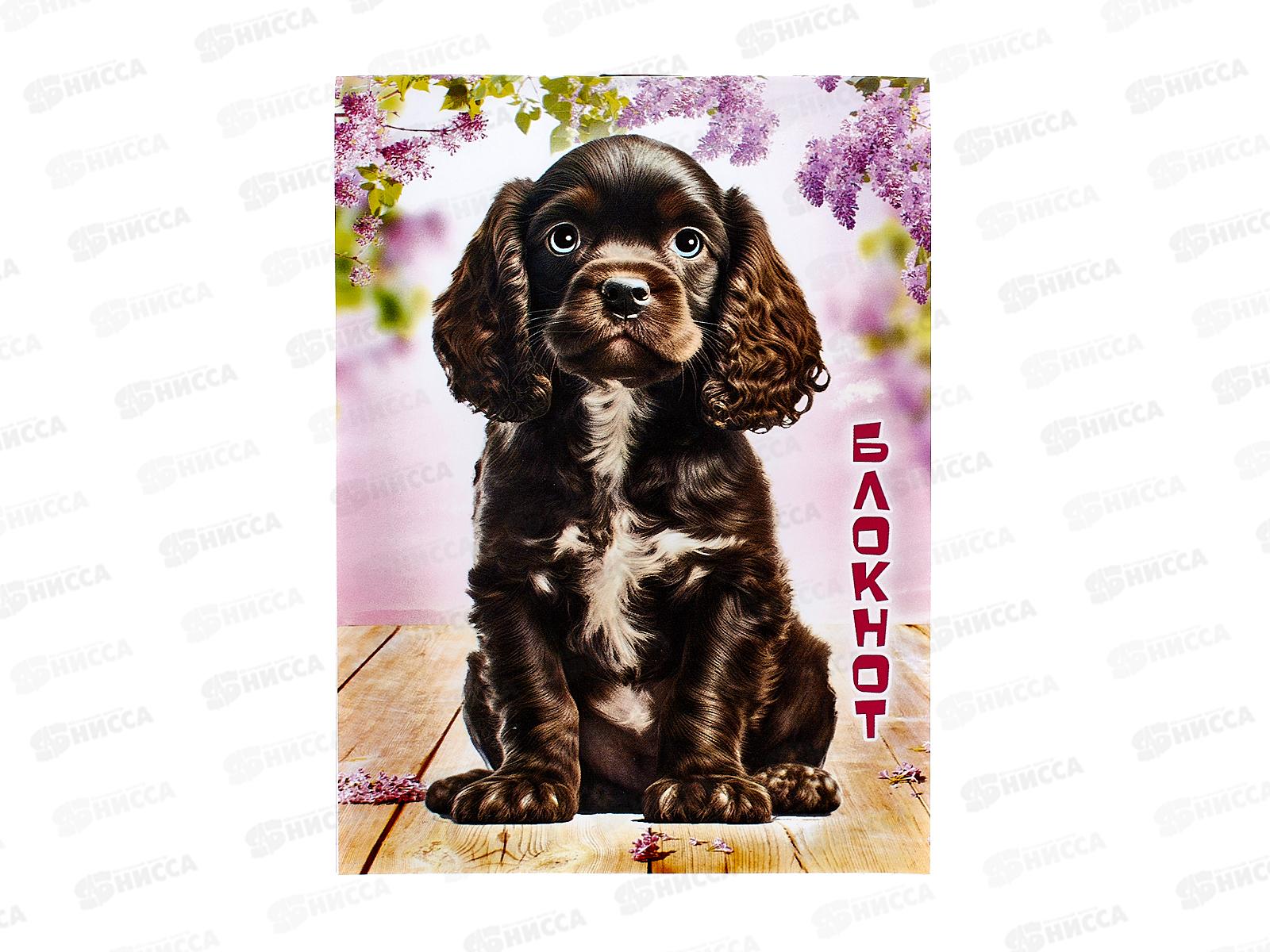 Блокнот 32листа ПГС Собаки, 95*130 *24