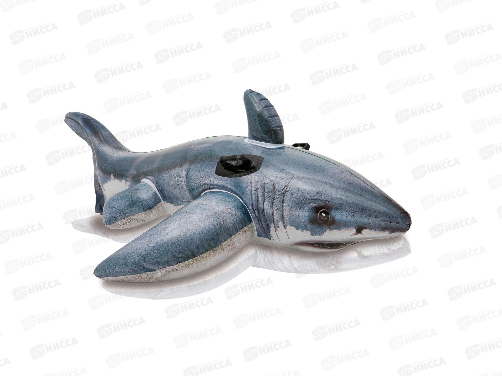 Надувная игрушка Акула 57525 (173х107см)   INTEX