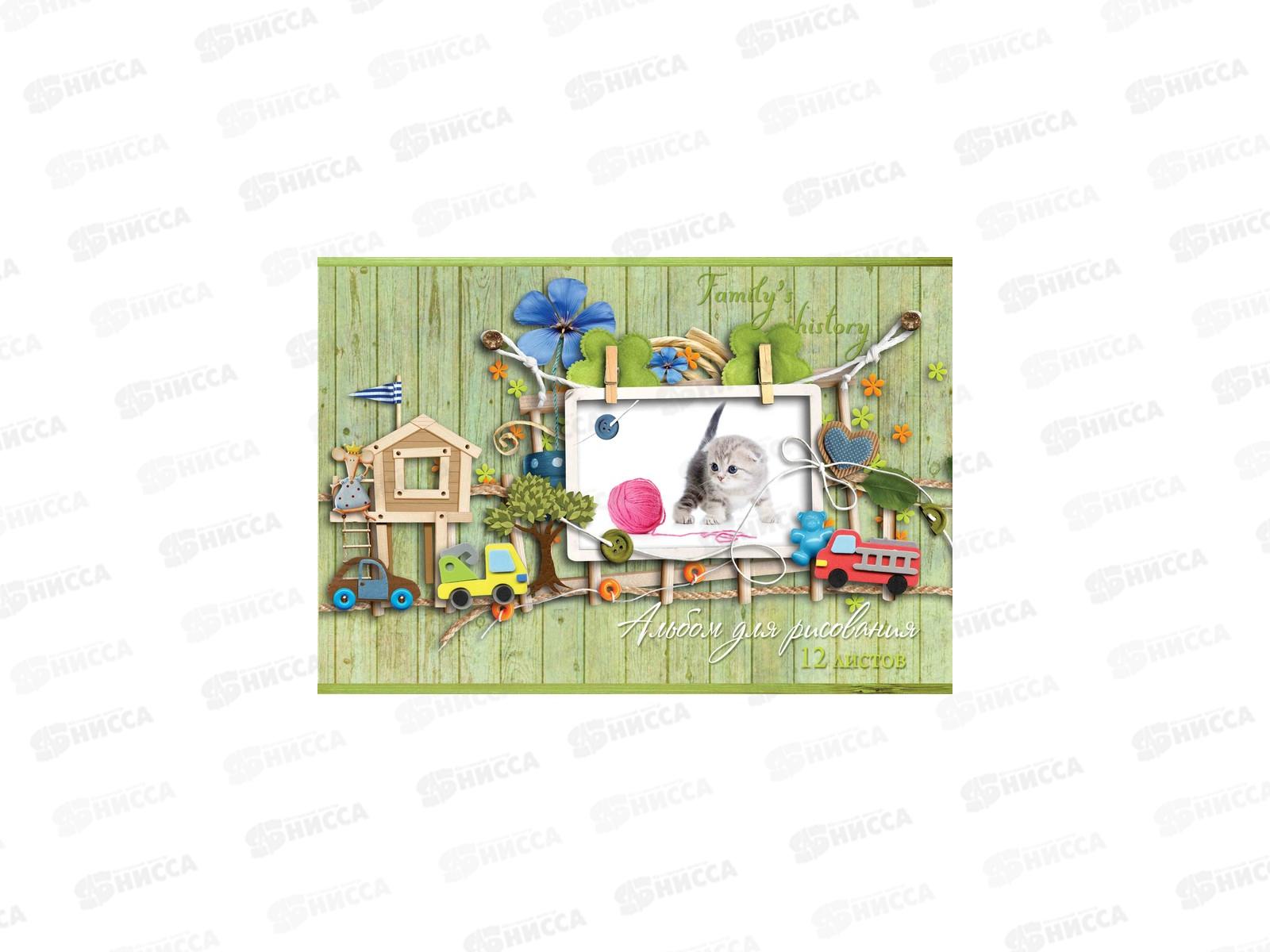 Альбом для рисования 12листов ТПМ Family`s history, АР12М089/1 *50