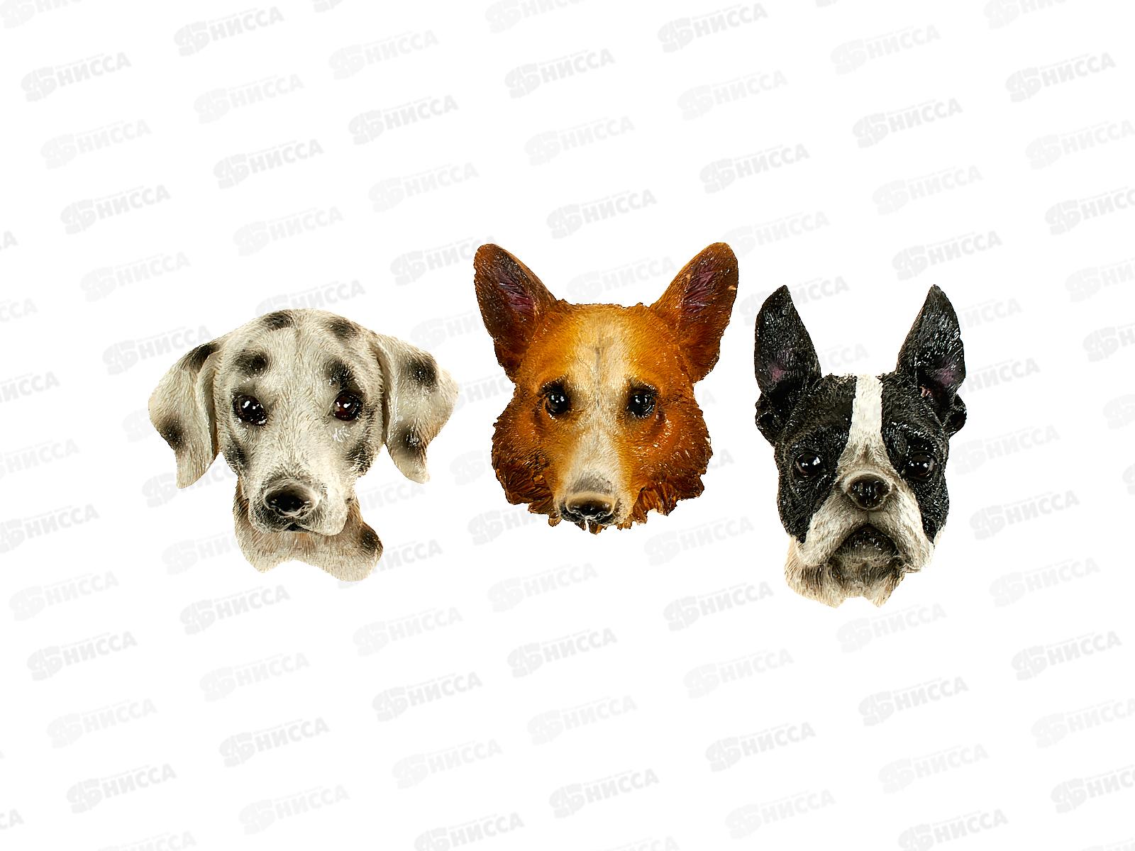 Магнит &quot ГОЛОВА СОБАКИ&quot 6см 17317(046824) *1/24 Ж