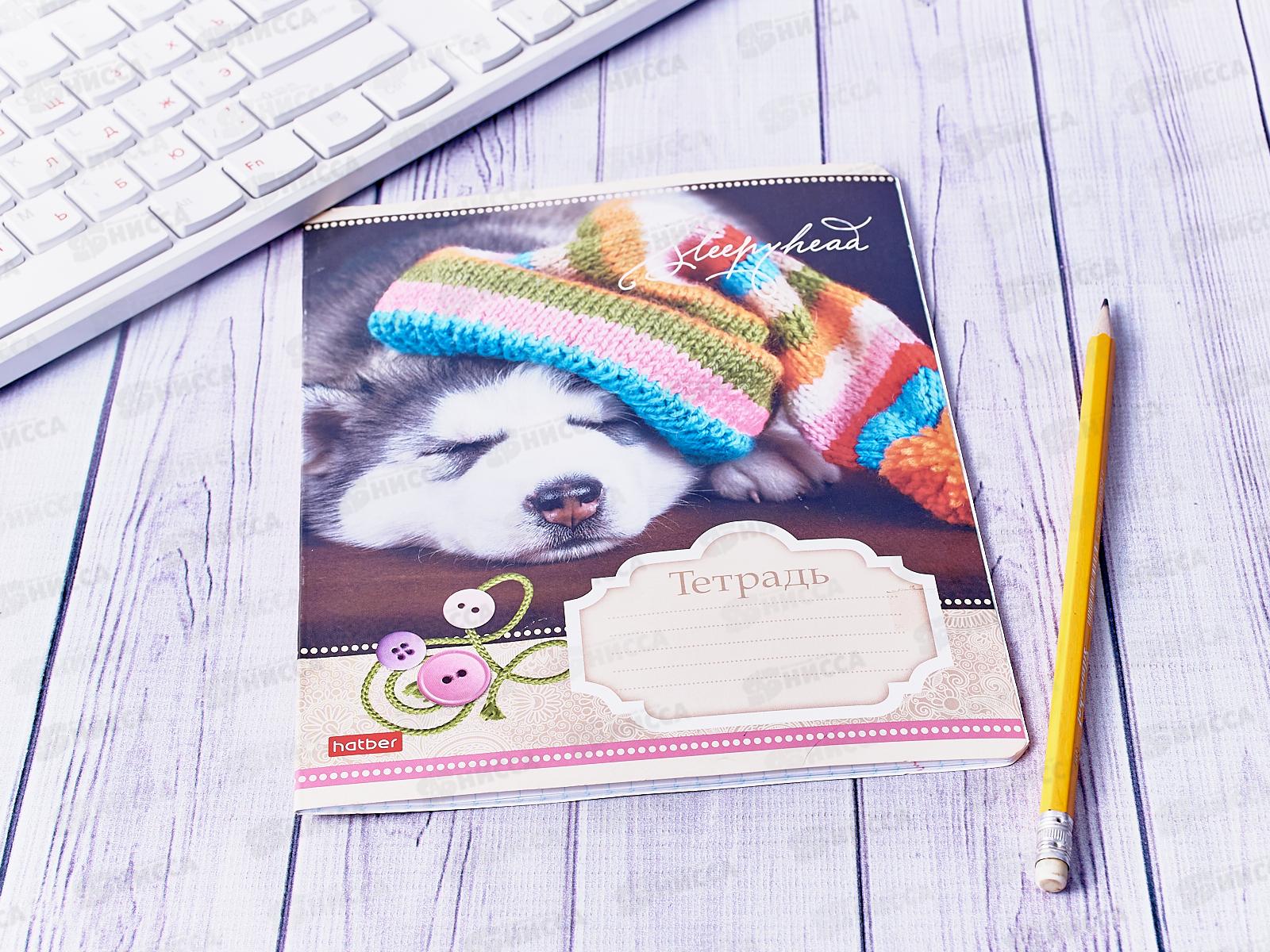 Тетрадь 12 листов клетка Hatber Сони-Засони *10/140