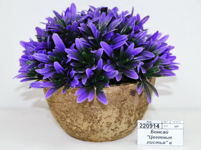 Бонсай &quotЦветные листья&quot в горшке 1840779