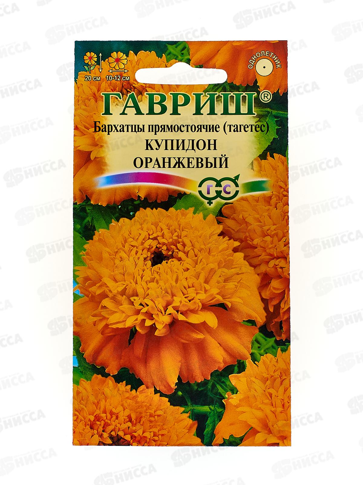 Бархатцы прямостоячие Купидон оранжевый 20см (Тагетес) 0,05 грамм   *10 ГШ +