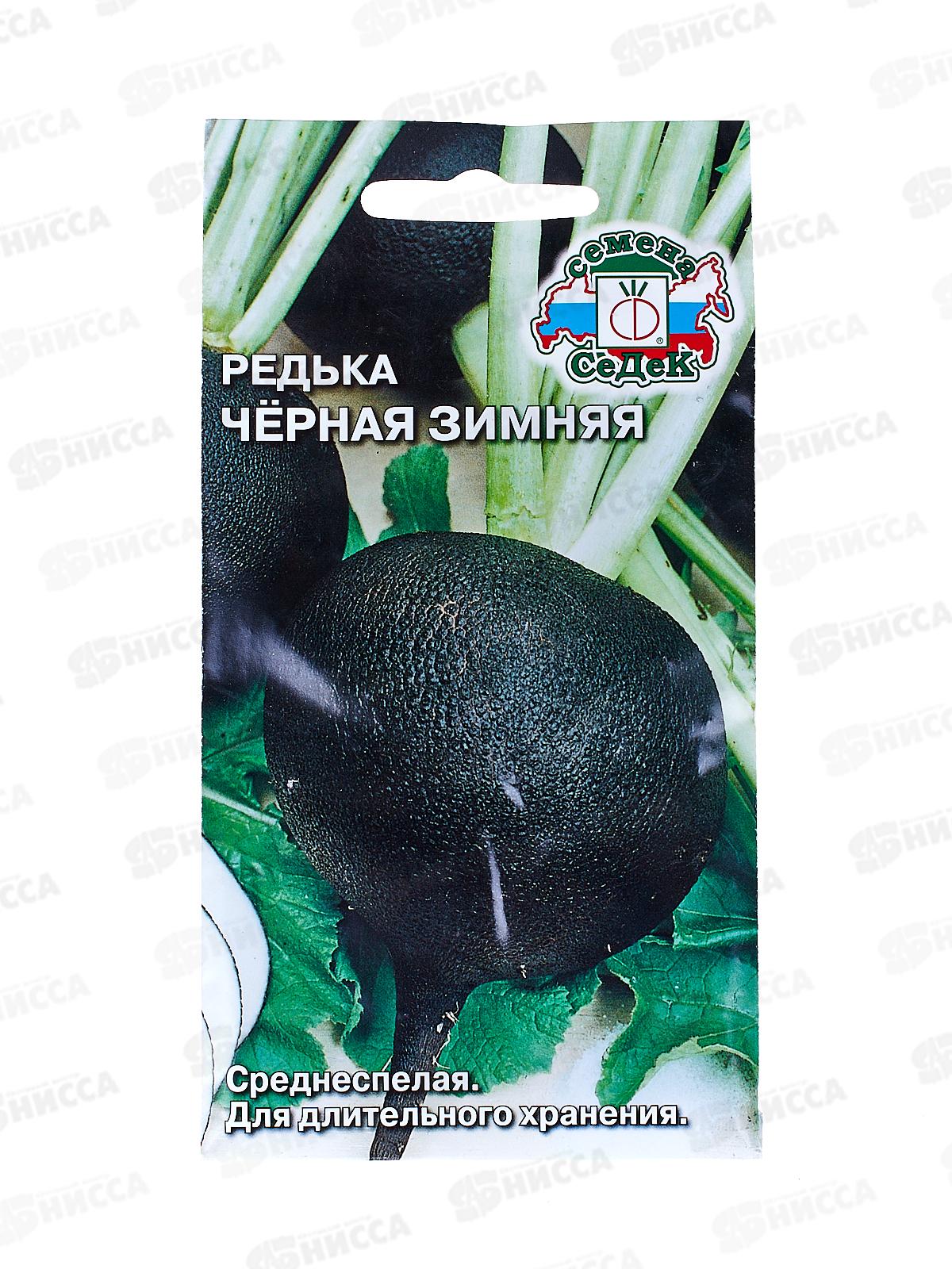 Редька Черная зимняя (Евро, 2) *10 СеДек +