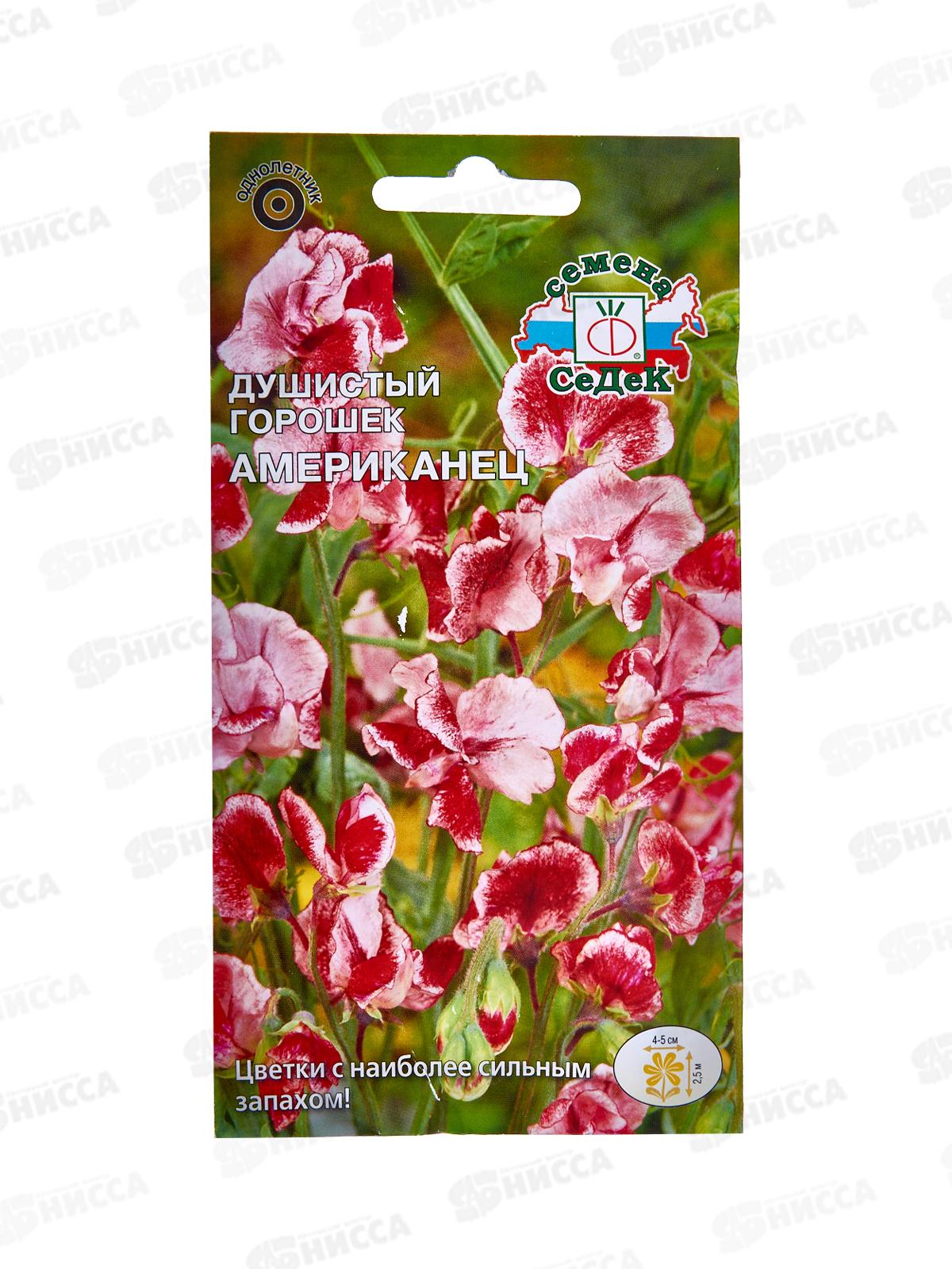 Душистый Горошек Американец (ярко-красный, с белым) (Евро, 0,5) *10 СеДек +