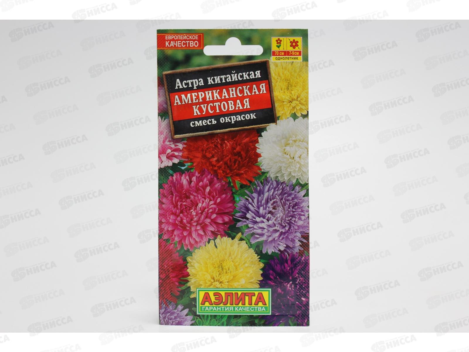 Астра Американская кустовая *10 АЭЛИТА