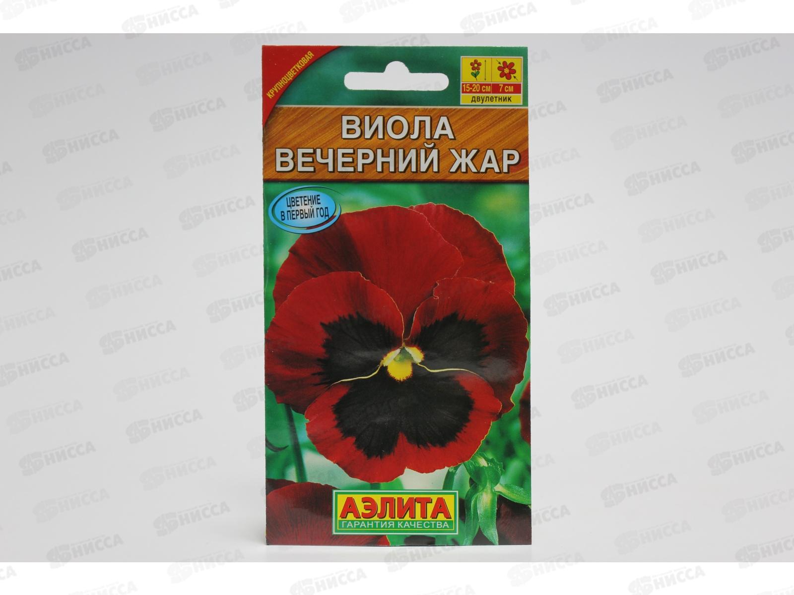 Виола Вечерний жар *10 АЭЛИТА