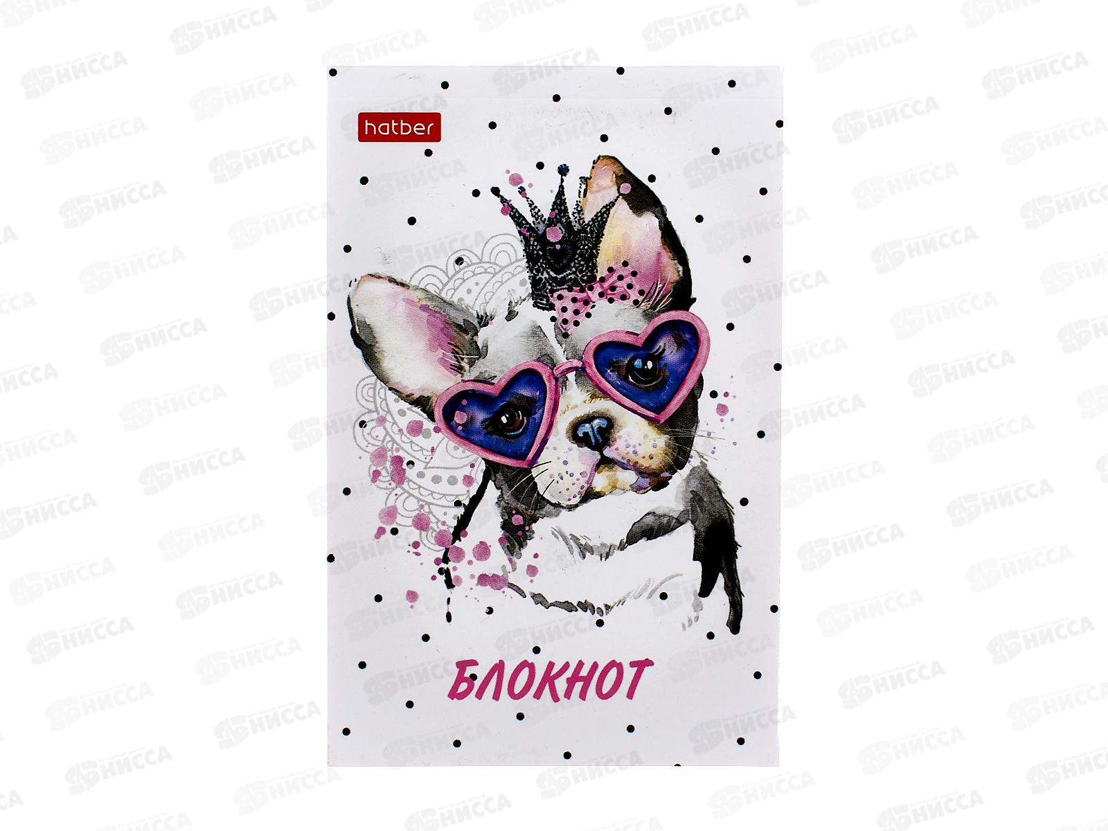 Блокнот 48листов Hatber А7 Модные мордочки, клей *100