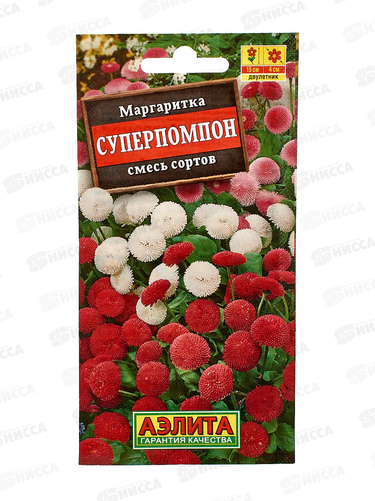 Маргаритка Суперпомпон, смесь окрасок *10 АЭЛИТА +