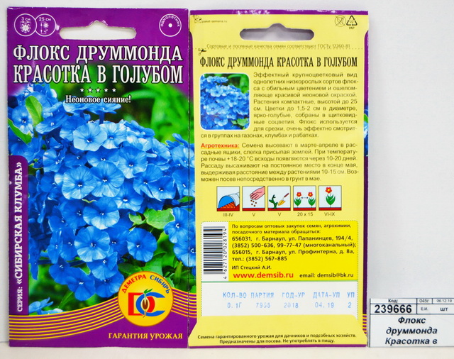 Флокс друммонда Красотка в голубом (0,1гр) *10 ДемСиб