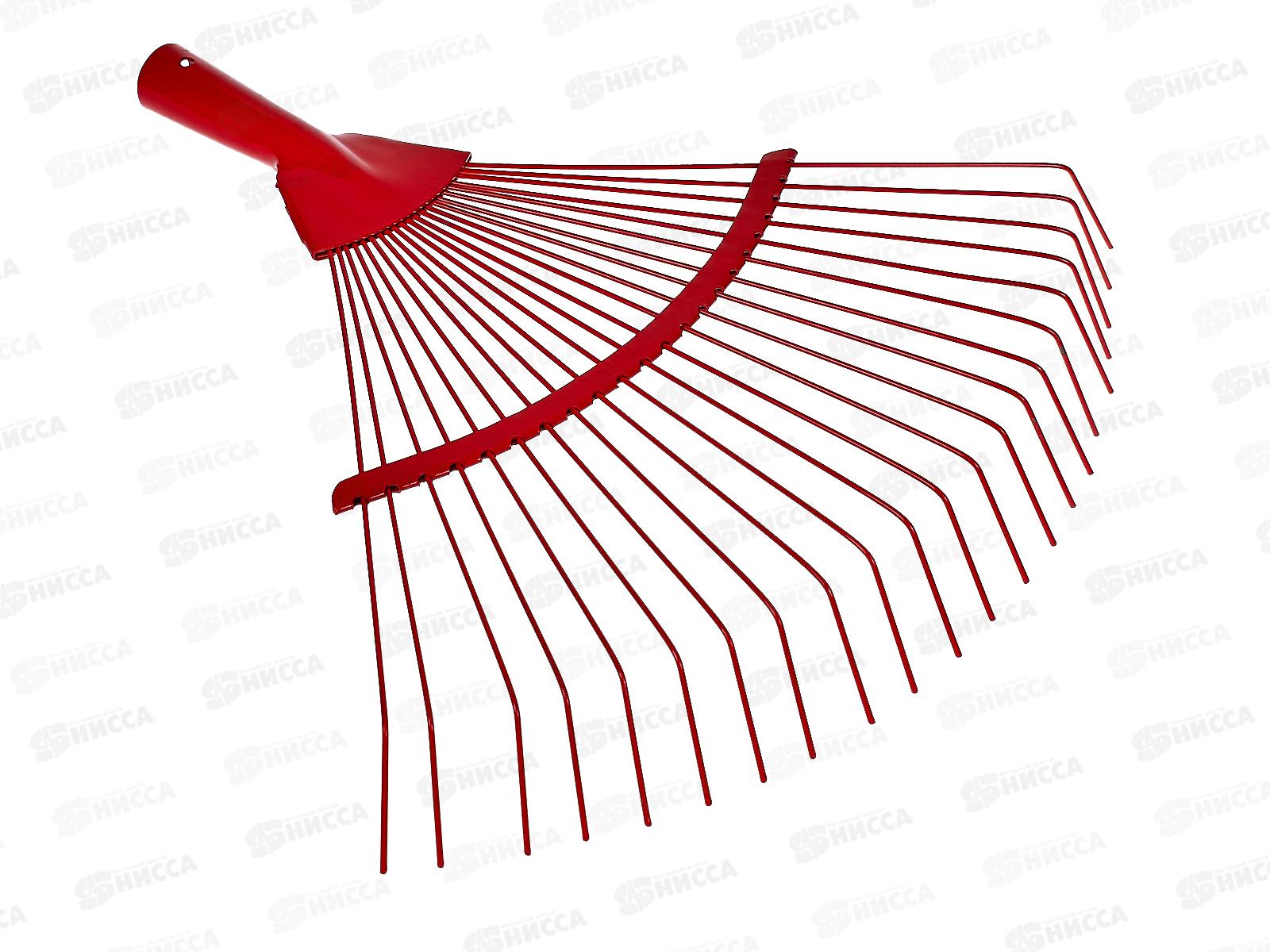 Грабли веерные без ручки (023725)  *60 Ж