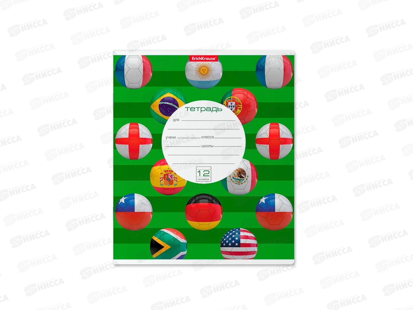 Тетрадь 12 листов линия ПОЛИ The Champions, 45067 *10/280